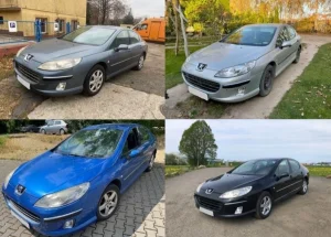 Centralna Brava PEUGEOT PEZO 407 Zadnja Leva Desna Vrata