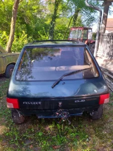 Pezo 205 gti grin