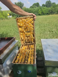 LR i AŽS rojevi