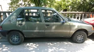 Pezo 205