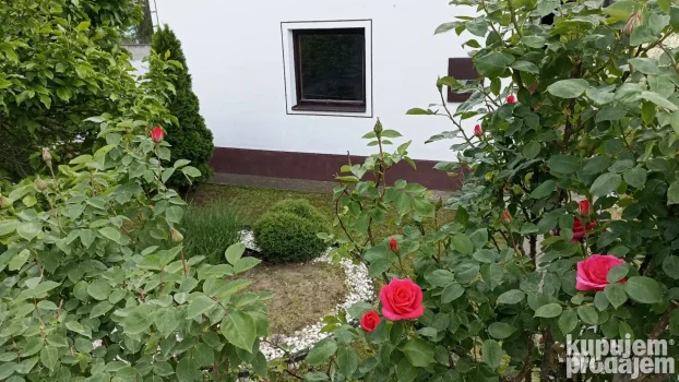 Izdajem kuću selo Drmno kod Požarevca