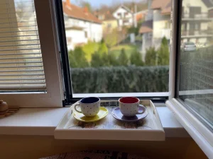 Vrnjačka Banja - Apartman "Kao kod kuće"
