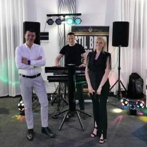 STIL BEND - Trio bend za sve proslave