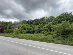 Građevinsko zemljište 1900m2 na Beočinskom putu kod Rakovca