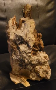 Delimicno okamenjeno drvo