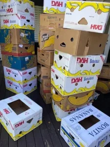 kutije od banana. kutije banana