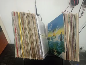 Kolekcija LP ploca 100 komada