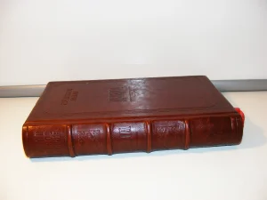 DJELA Stefan Mitrov Ljubiša