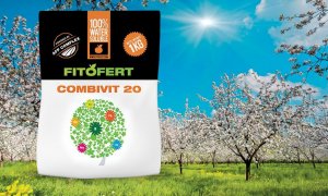Fitofert COMBIVIT 20 200 g