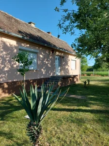 Šabac, 2.0, 60 m²