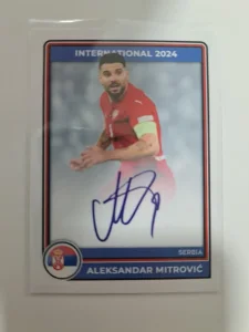 Aleksandar Mitrovic