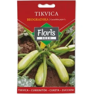 Tikvica Beogradska seme 3g - 10kom. FLORIS