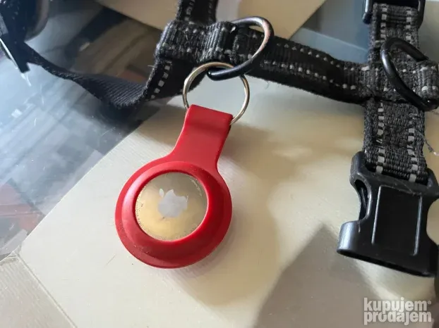 Cuvanje pasa u idealnim kucnim uslovima