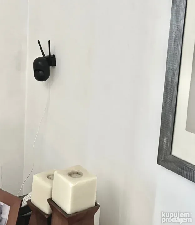 Cuvanje pasa u idealnim kucnim uslovima