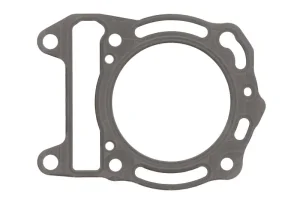 Dihtung glave Piaggio Beverly 350