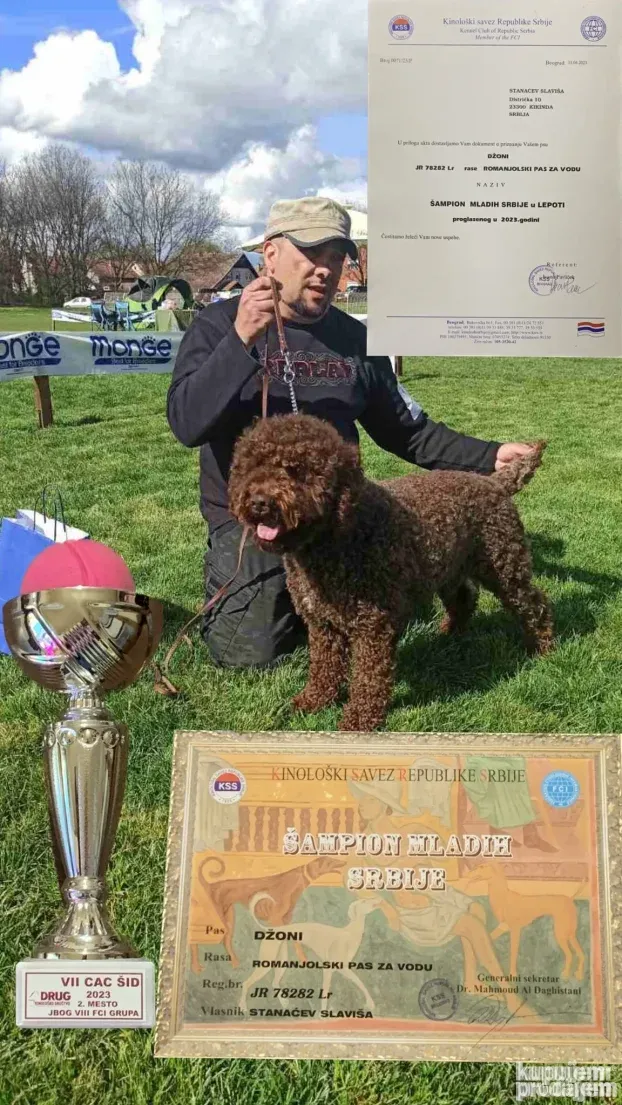 Lagoto Romanjolo-pas za parenje