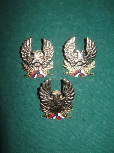 Oznaka KSJ- vojne policije i specijalnih jedinica