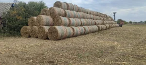 Kukuruzovina balirana