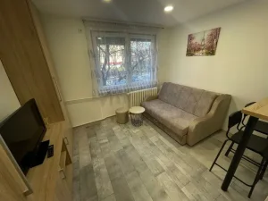 -garsonjera-ž.stanica-16m2-nameštena-renovirana-