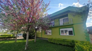 Žabalj, Đurđevo, 3.0 trosobna, 500 m²