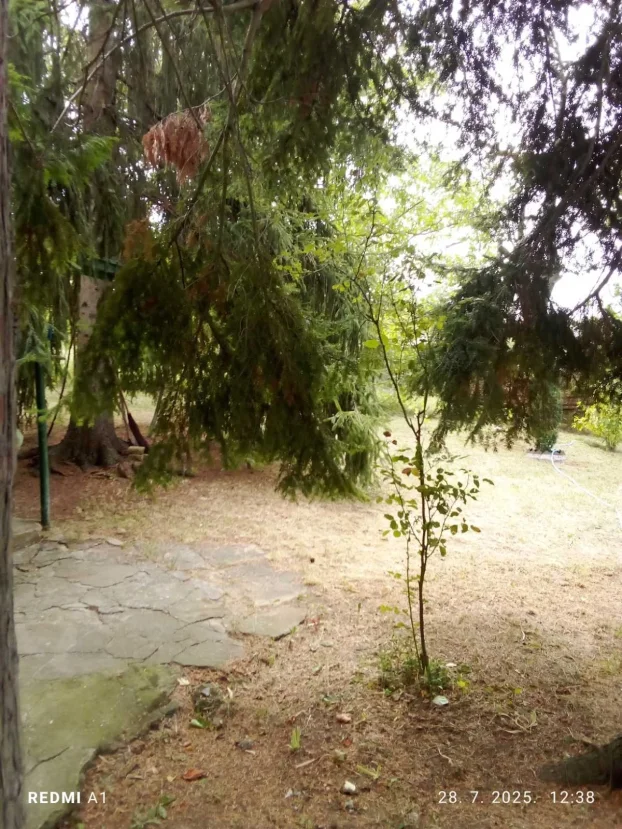 Irig, Vrdnik, 2.0 dvosobna, 52 m²