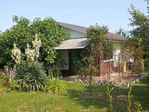 Sremski Karlovci, Fruška gora, 2.0 dvosobna, 56 m²