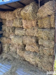 Seno bale 10-12kg