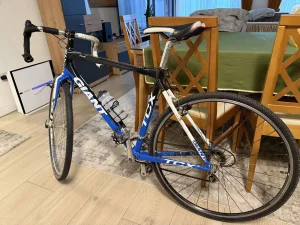 Giant TCX
