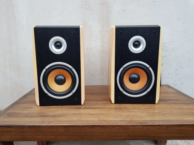 DIFFUSORI ACUSTICI DYNAVOX TG1000B SILVER 30+30W - COPPIA