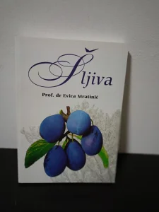 Šljiva - Evica Mratinić