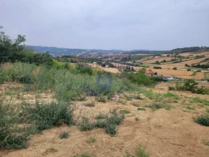 Vezirac, 14.73 ar