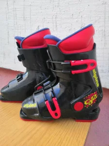 Pancerice  ALPINA  18  cm