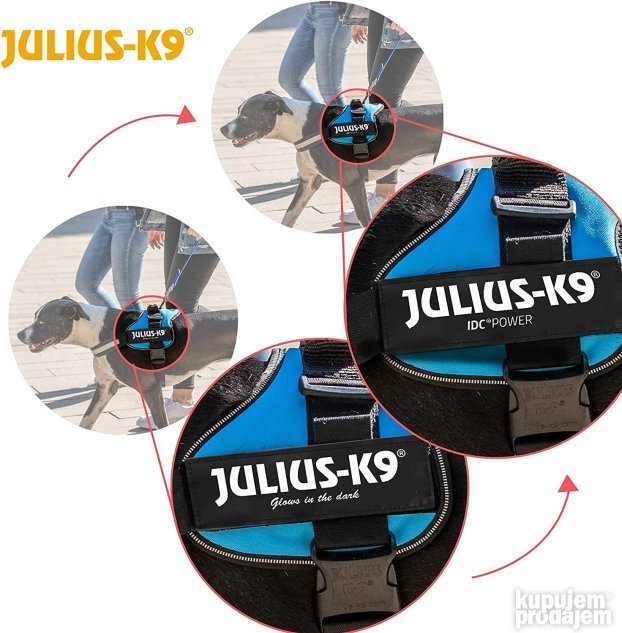 Pojas za Pse Julius-K9 Baby2