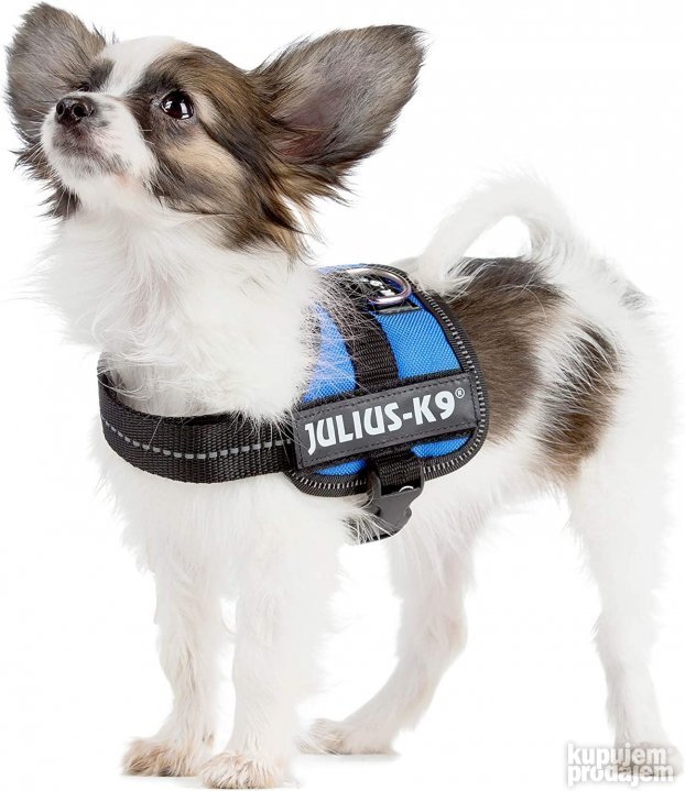 Pojas za Pse Julius-K9 Baby2