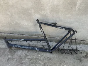 Ram alu triumph