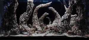 ANCISTRUS centar N1 .Kljuc u ruke. Hardscape AQUASCAPE PRO