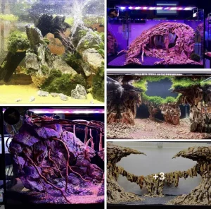 ANCISTRUS centar N1  .Kljuc u ruke.  Hardscape AQUASCAPE PRO