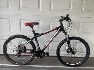 BERGAMONT alu 26" disk