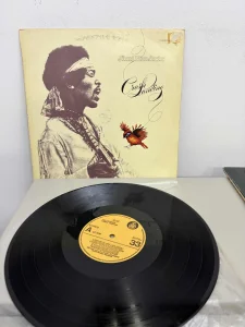 Jimi Hendrih Vinil Lp