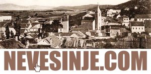 NEVESINJE.com - domen na prodaju