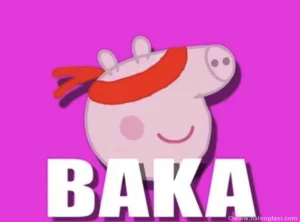 Domen bakaprase