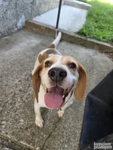 Na poklon kuja bigla, 5 godina stara