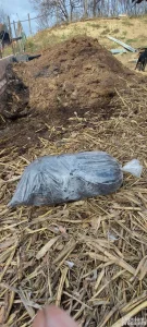 Stajsko djubrivo stajnjak ovciji pregoreli