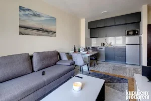 stan na dan u centru sa garazom