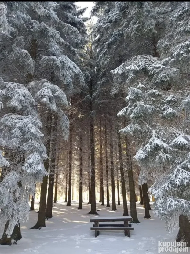 Zlatibor Spa Apartman