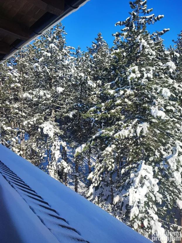 Zlatibor Spa Apartman