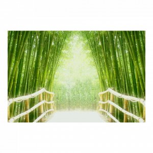 Fototapeta XXXL 4m x 2,8m foto tapeta fototapete zidni mural