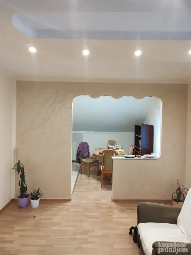 Krecenje Moler Novi Sad