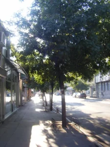 Izdajem lokal 80m2 u ulici Cara dušana Niš