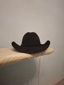 Šešir